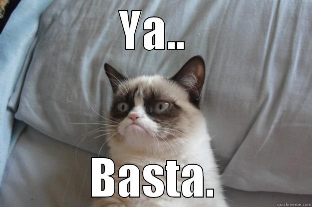 YA.. BASTA. Grumpy Cat