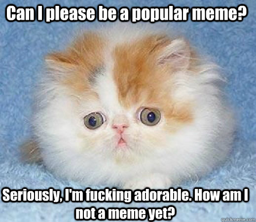 Can I please be a popular meme? Seriously, I'm fucking adorable. How am I not a meme yet? - Can I please be a popular meme? Seriously, I'm fucking adorable. How am I not a meme yet?  Loss of Innocence Cat
