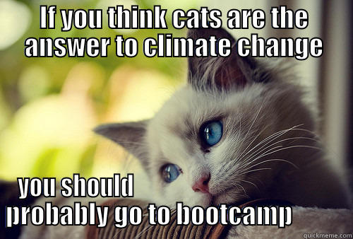 IF YOU THINK CATS ARE THE ANSWER TO CLIMATE CHANGE YOU SHOULD                                             PROBABLY GO TO BOOTCAMP            First World Problems Cat