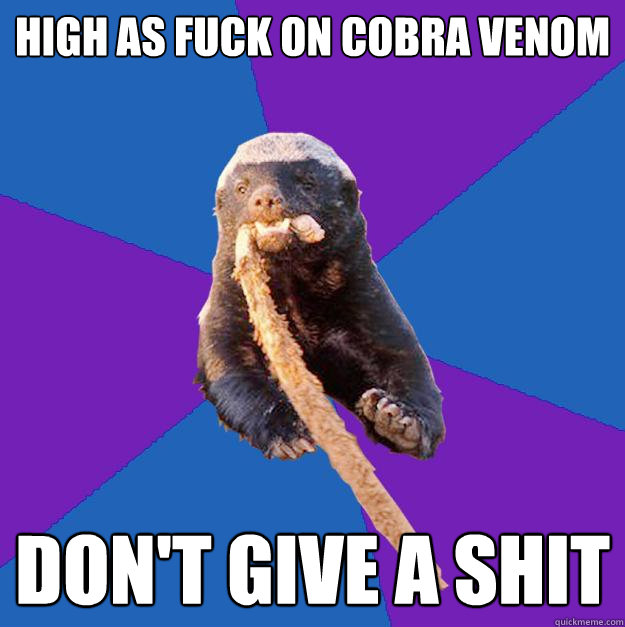 High as fuck on Cobra venom Don't give a shit - High as fuck on Cobra venom Don't give a shit  Honey Badger Dont Care