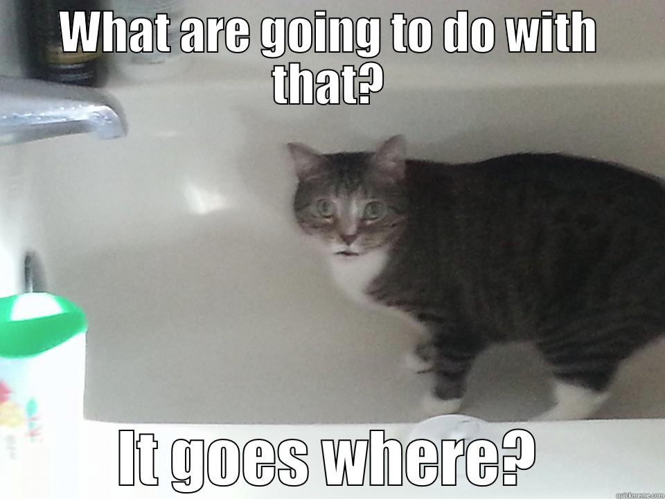 WHAT ARE GOING TO DO WITH THAT? IT GOES WHERE? Misc