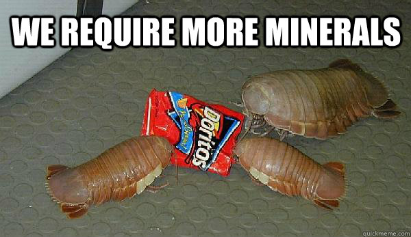 we require more minerals   Giant Isopod