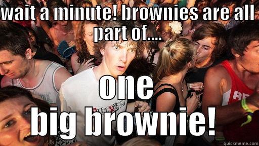 WAIT A MINUTE! BROWNIES ARE ALL PART OF.... ONE BIG BROWNIE!  Sudden Clarity Clarence