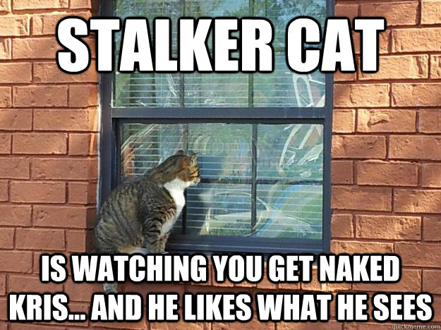 stalker cat is watching you get naked kris... and he likes what he sees  