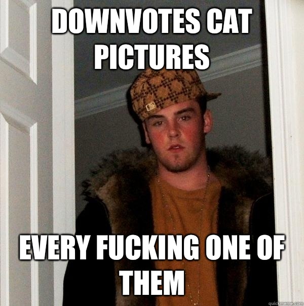 Downvotes cat pictures Every fucking one of them  Scumbag Steve
