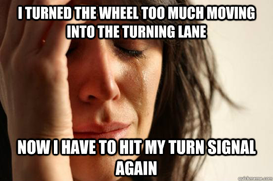I turned the wheel too much moving into the turning lane Now I have to hit my turn signal again  First World Problems