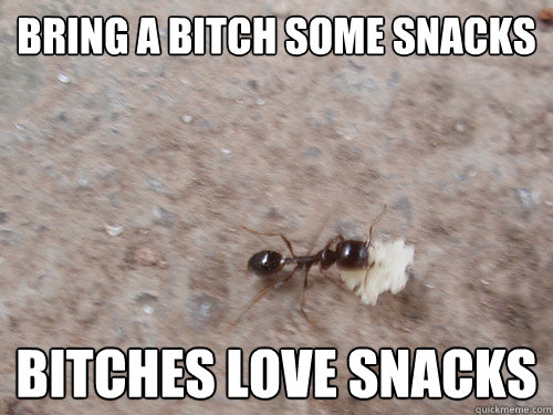 BRING A BITCH SOME SNACKS BITCHES LOVE SNACKS  SNACKS