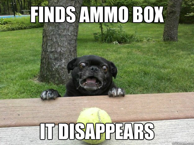 Finds ammo box it disappears  Berks Dog