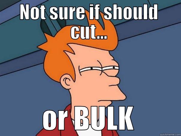 NOT SURE IF SHOULD CUT... OR BULK Futurama Fry