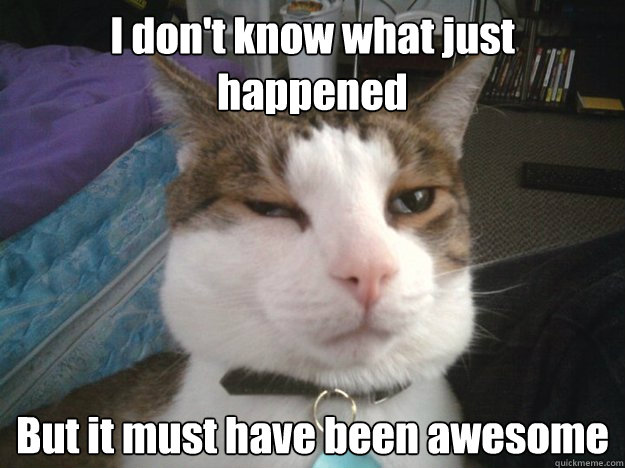 I don't know what just happened But it must have been awesome - I don't know what just happened But it must have been awesome  catnip kitty