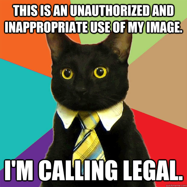 this is an unauthorized and inappropriate use of my image. I'm calling legal.  Business Cat