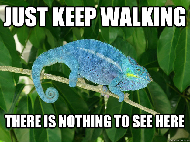 20 Offensive Memes For Those Who Don't Get Offended Easily - Chameleon Memes  - Medium