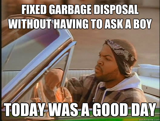 fixed garbage disposal without having to ask a boy  Today was a good day - fixed garbage disposal without having to ask a boy  Today was a good day  today was a good day
