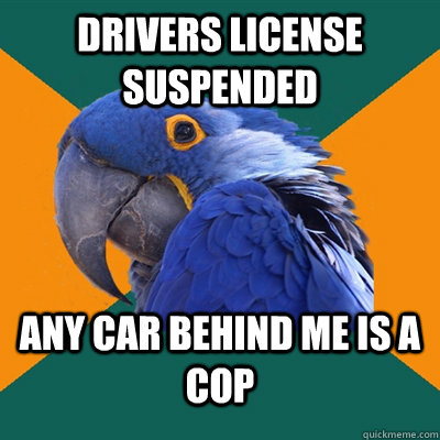 Drivers License Suspended any car behind me is a cop  Paranoid Parrot