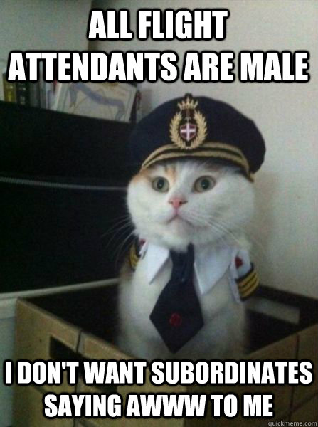 ALL FLIGHT ATTENDANTS ARE MALE I DON'T WANT SUBORDINATES SAYING AWWW TO ME  Captain kitteh