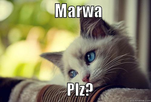                   MARWA                                        PLZ?                   First World Problems Cat