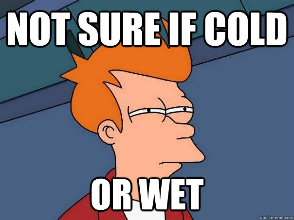 Not sure if cold Or wet - Not sure if cold Or wet  Futurama Fry
