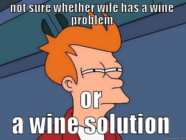 NOT SURE WHETHER WIFE HAS A WINE PROBLEM OR A WINE SOLUTION Futurama Fry
