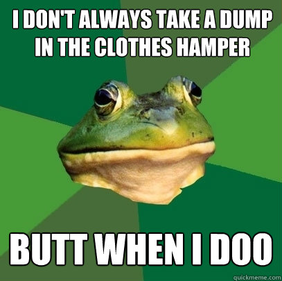 I don't always take a dump in the clothes hamper butt when I doo  Foul Bachelor Frog