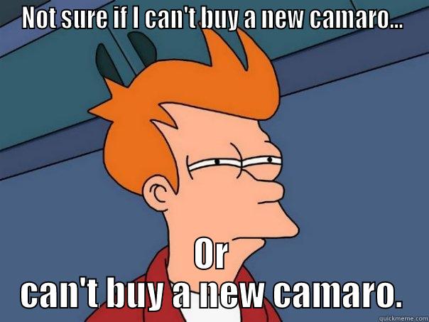 Can't do it.. - NOT SURE IF I CAN'T BUY A NEW CAMARO... OR CAN'T BUY A NEW CAMARO. Futurama Fry