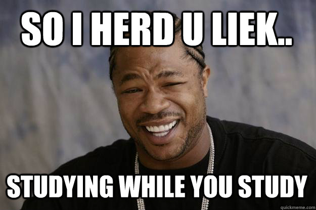 So I herd u liek.. Studying while you study - So I herd u liek.. Studying while you study  Xzibit meme