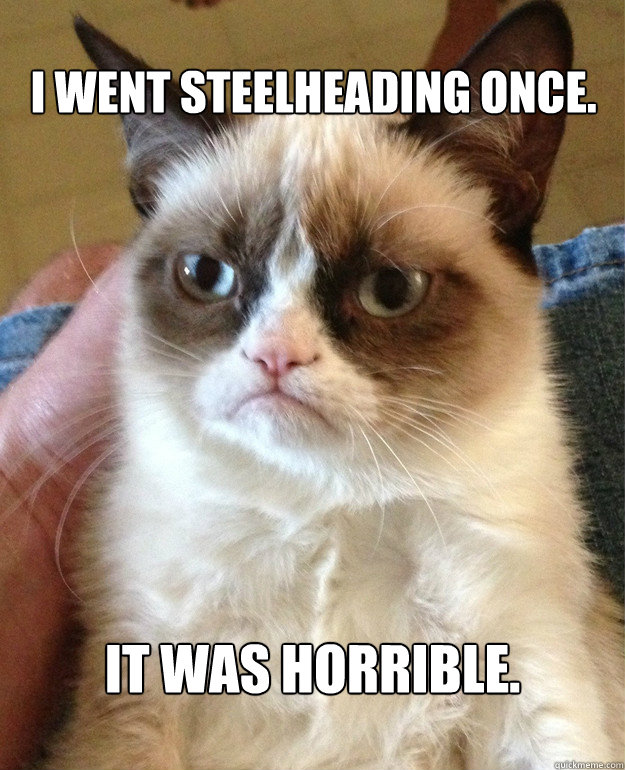 I went steelheading once. It was horrible. - I went steelheading once. It was horrible.  Misc