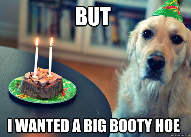 but i wanted a big booty hoe  Sad Birthday Dog