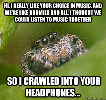 hi, I really like your choice in music, and we're like roomies and all, I thought we could listen to music together  so I crawled into your headphones... - hi, I really like your choice in music, and we're like roomies and all, I thought we could listen to music together  so I crawled into your headphones...  Misunderstood Spider