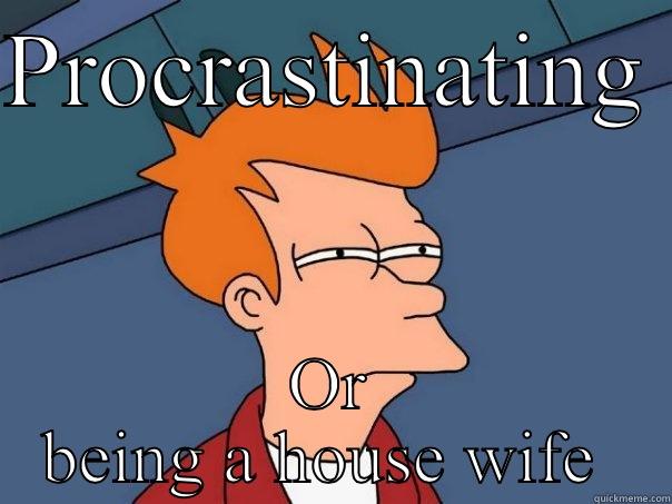 PROCRASTINATING  OR BEING A HOUSE WIFE  Futurama Fry
