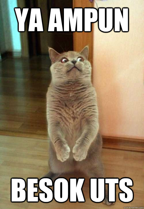 ya ampun besok uts
  Horrorcat