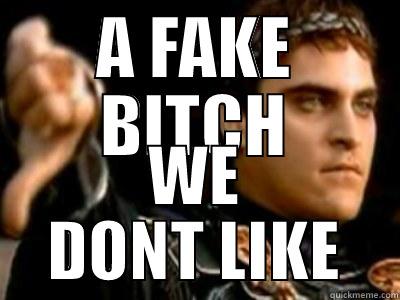 A FAKE BITCH WE DONT LIKE Downvoting Roman