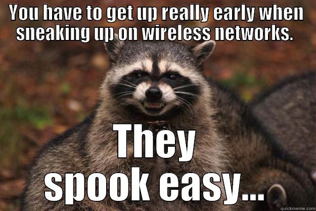 YOU HAVE TO GET UP REALLY EARLY WHEN SNEAKING UP ON WIRELESS NETWORKS.  THEY SPOOK EASY... Evil Plotting Raccoon