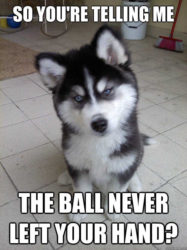 So you're telling me the ball never left your hand?  Skeptical Newborn Puppy