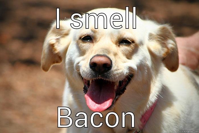 I SMELL BACON Misc