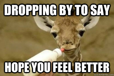 Dropping by to say hope you feel better - Dropping by to say hope you feel better  giraffe feel better