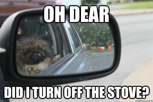 Oh dear did i turn off the stove?  