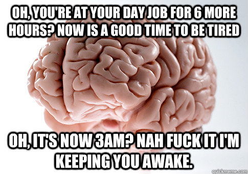Oh, you're at your day job for 6 more hours? Now is a good time to be tired Oh, it's now 3am? Nah fuck it I'm keeping you awake.  Scumbag Brain