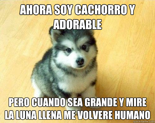 ahora soy cachorro y adorable pero cuando sea grande y mire la luna llena me volvere humano  Baby Courage Wolf