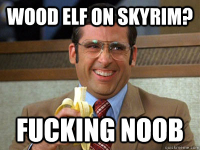 Wood elf on skyrim? Fucking noob  Brick Tamland