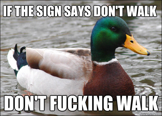If the sign says don't walk Don't fucking walk  Actual Advice Mallard