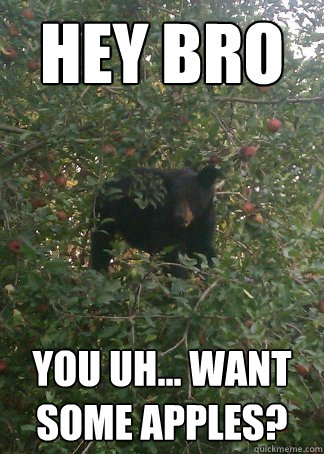 Hey bro you uh... want some apples?  