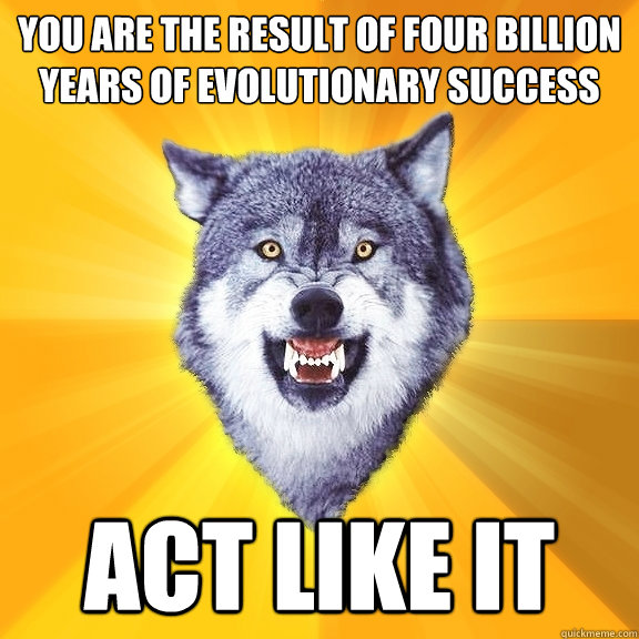 you are the result of four billion years of evolutionary success act like it  Courage Wolf