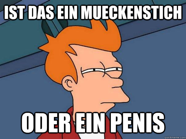Ist das ein Mueckenstich oder ein Penis  Futurama Fry