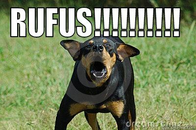 RUFUS!!!!!!!!!!  Misc