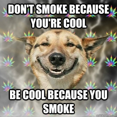 Don't smoke because you're cool Be cool because you smoke  Stoner Dog