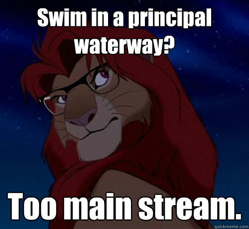 Swim in a principal waterway? Too main stream.  