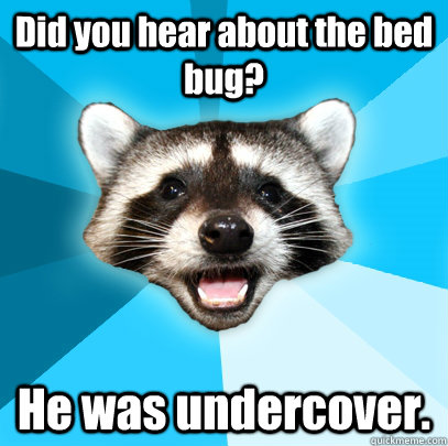 Did you hear about the bed bug? He was undercover.  Lame Pun Coon