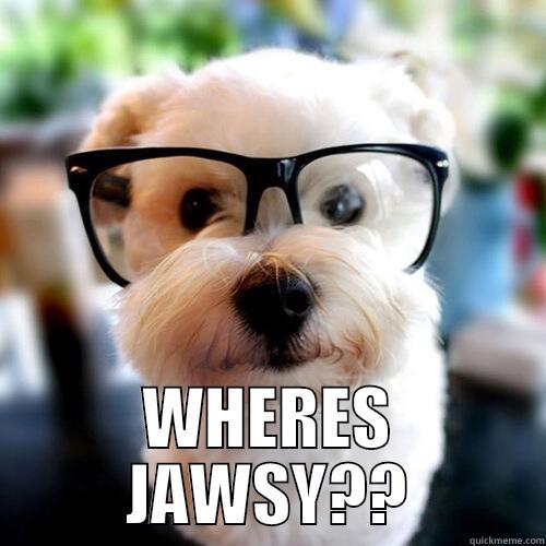  WHERES JAWSY?? Misc