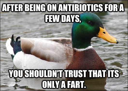 after being on antibiotics for a few days, you shouldn't trust that its only a fart. - after being on antibiotics for a few days, you shouldn't trust that its only a fart.  Actual Advice Mallard