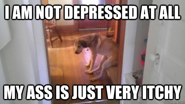 i am not depressed at all my ass is just very itchy - i am not depressed at all my ass is just very itchy  Misc